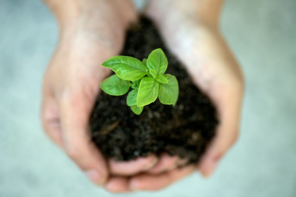 Green Soil Energy 1024x683